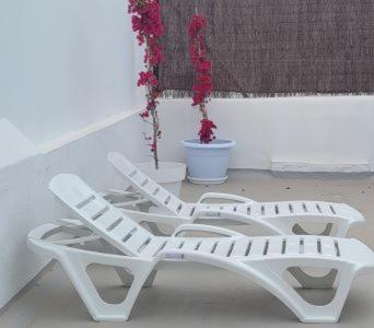 Casa Tina Apartment Cadiz Exterior photo